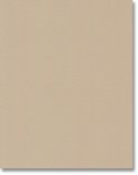 DIY Kitchens Perth Door  - NCY57-03 Cappuccino Natural