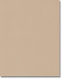 DIY Kitchens Perth Door - NCY57-96 Cappuccino Texture
