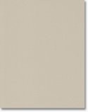 DIY Kitchens Perth Door - NCV25-96 Chino Texture