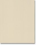 DIY Kitchens Perth Door - NCV26-96 Latte Texture