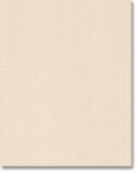 DIY Kitchens Perth Door - YEH95-96 Light Beige Texture