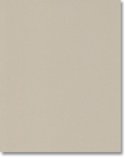 DIY Kitchens Perth Door - NCV84-20 Riverstone Texture