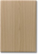 DIY Kitchens Perth Door EO1